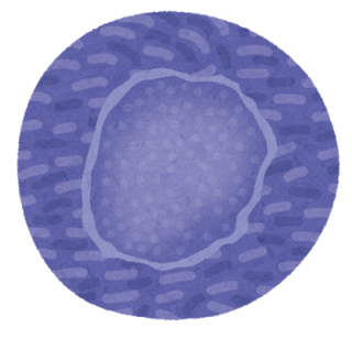 body_cell_ips_colony.png