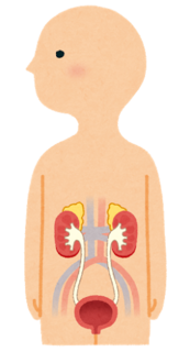 body_jinzou_boukou.png