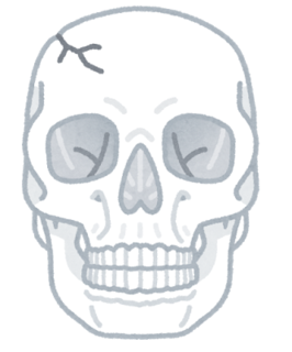 body_zugaikotsu_kossetsu.png