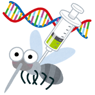 bug_ka_dna.png