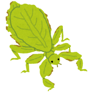 bug_konohamushi.png