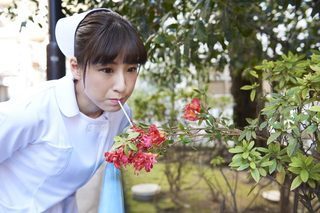 cut51_flowerjuice-736x491.jpg