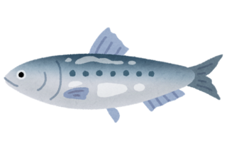 fish_sakana_iwashi.png