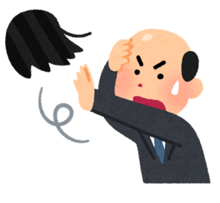 hair_katsura_tobu.png