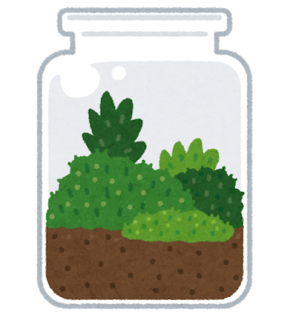 koke_terrarium.png