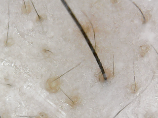 so00301 (3).bmp