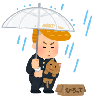 suteneko_hirou_furyou.png