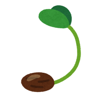 tane_hatsuga.png