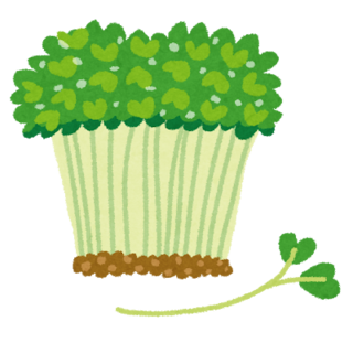 vegetable_kaiwaredaikon.png