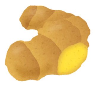 vegetable_syouga.png